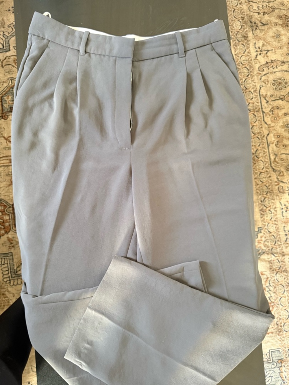Aritzia Light Gray Pleated Dress Trousers
